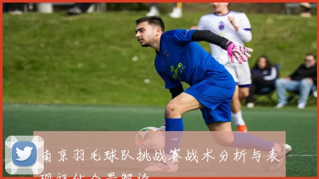 南京羽毛球队挑战赛战术分析与表现评估全景解读