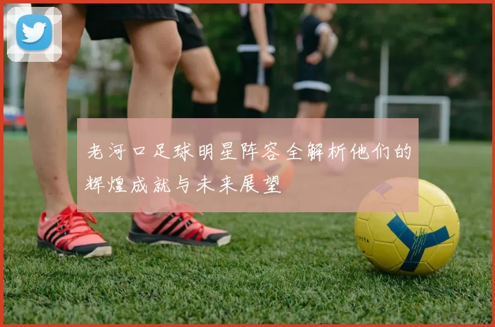 老河口足球明星阵容全解析他们的辉煌成就与未来展望
