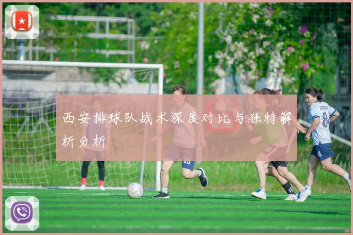 西安排球队战术深度对比与独特解析分析
